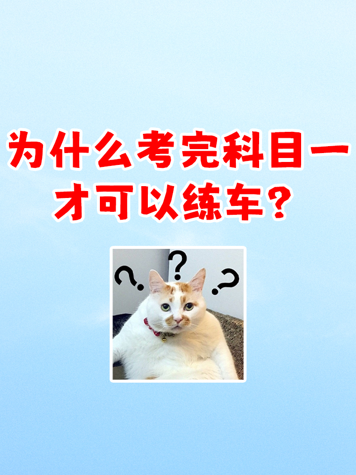 cda6697717228d55a2bfa87746fe923.jpg